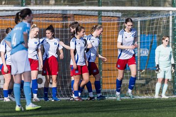 Bild 193 - F Hamburger SV 3 - Blau-Weiss 96 : Ergebnis: 5:1